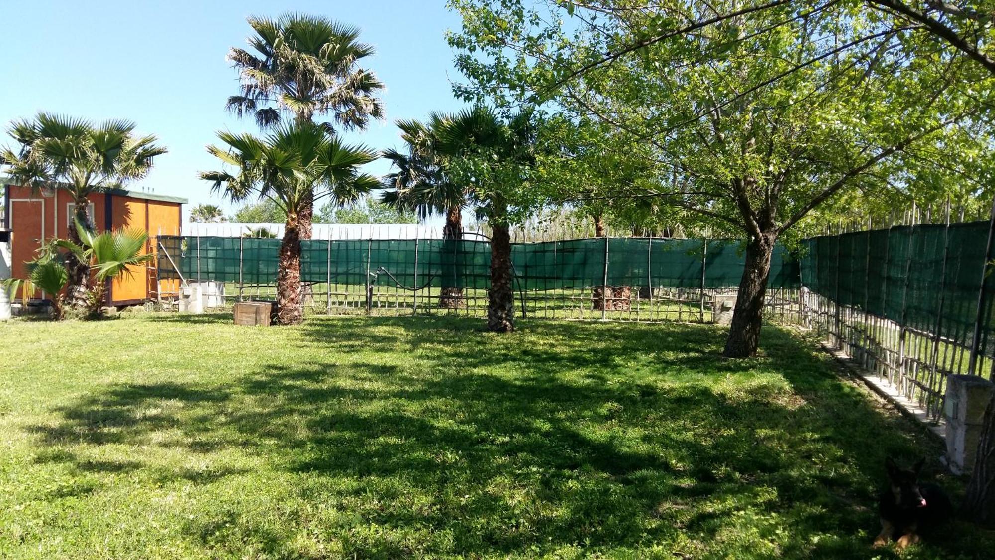 Villa Luna A Pochi Passi Dalla Spiaggia Avola Bagian luar foto